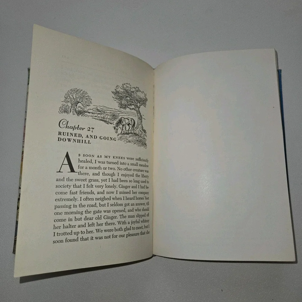 Black Beauty by Anna Sewell 1945 Illustrated Junior Library Edition Hardcover‎
